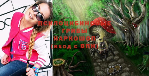 синтетический гашиш Богородицк