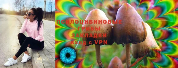 синтетический гашиш Богородицк