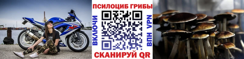 hydra вход  Туапсе  Псилоцибиновые грибы Magic Shrooms  закладка 